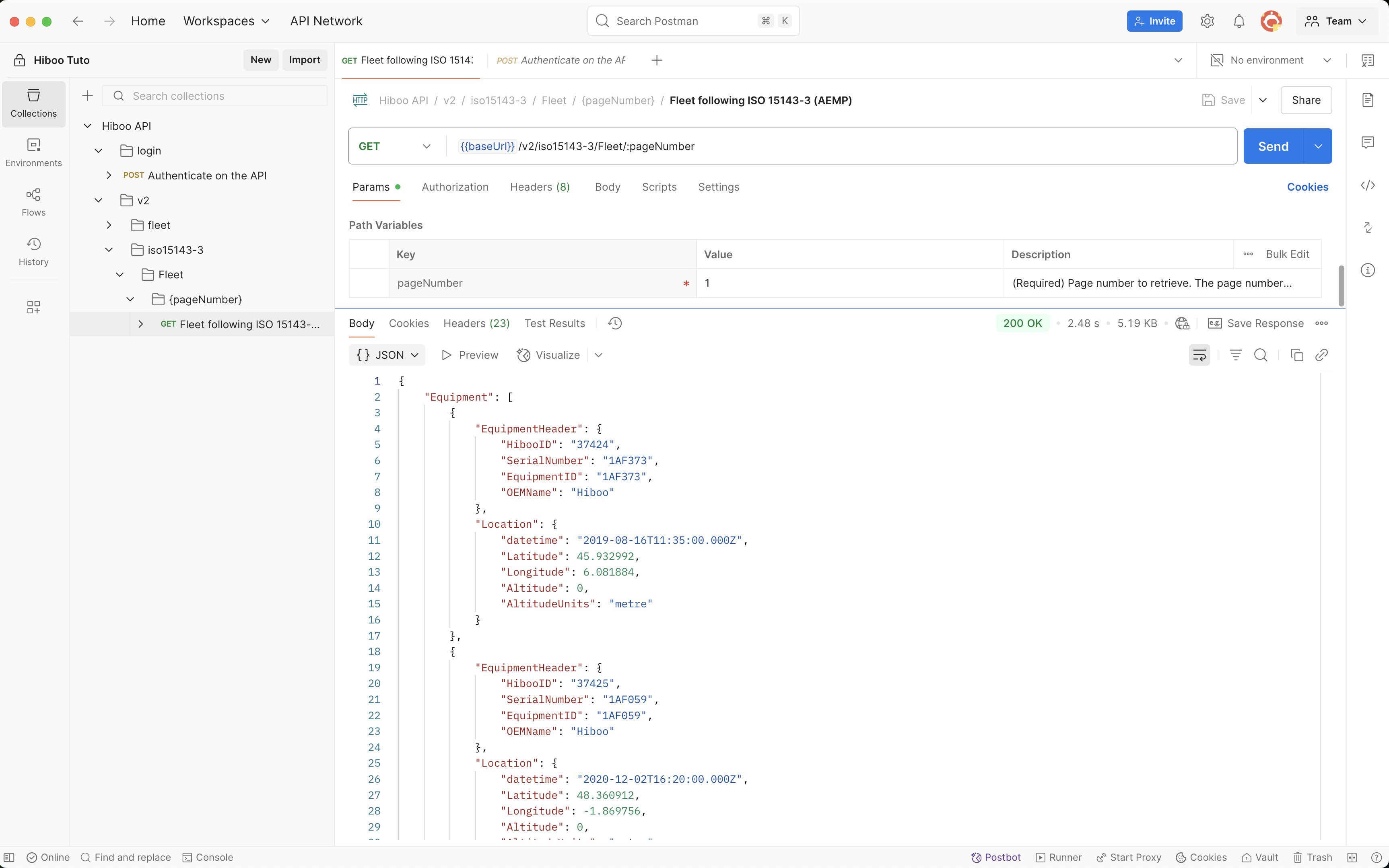 Successful API request test